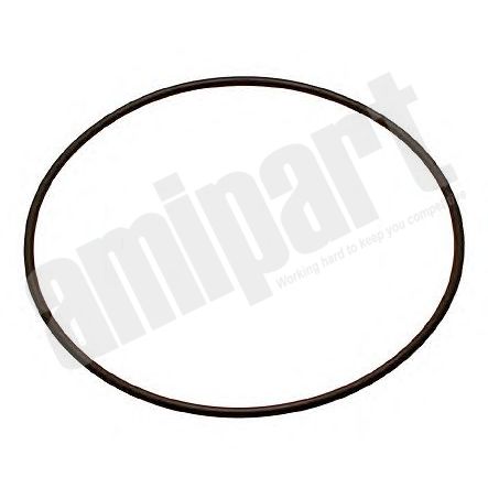 Amipart - O RING (FOR HUB CAP AM7725)